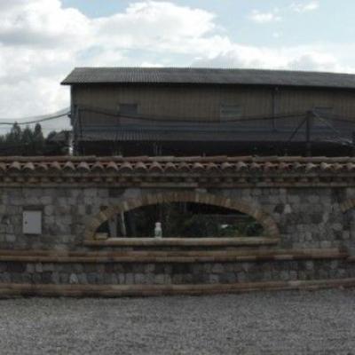 Immagine3